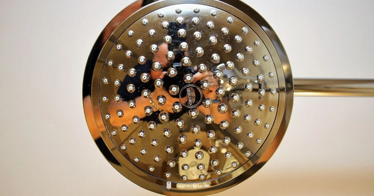 Shower Heater Guide - Heater Cost