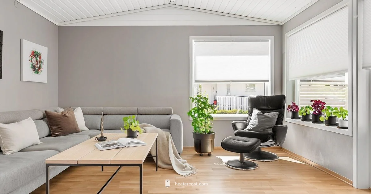 Whole-House Heating - Heater Cost