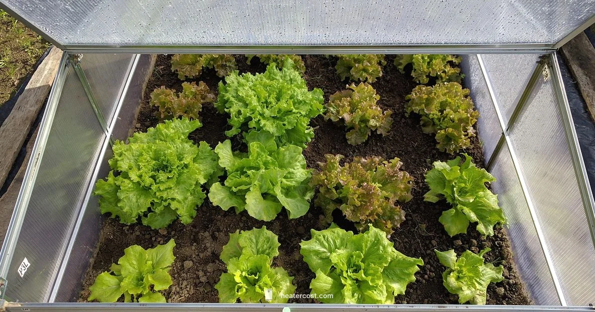 Greenhouse Heating - Heater Cost