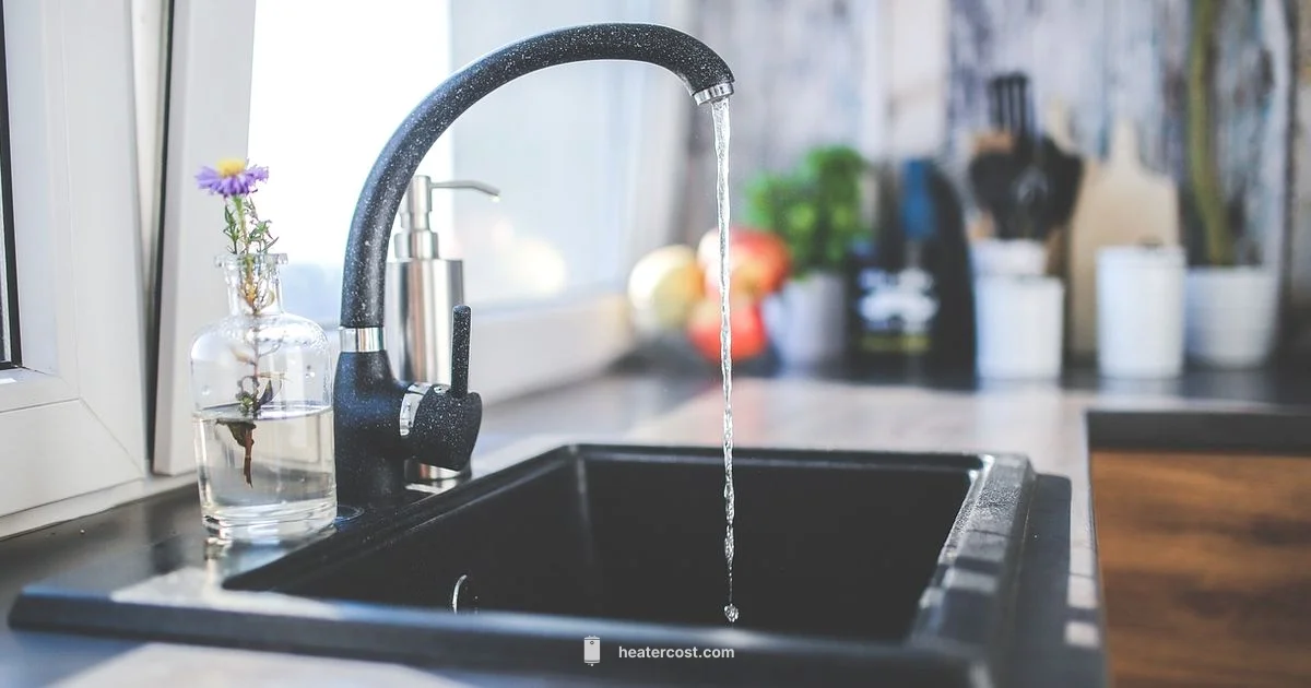 On Demand Hot Water - Heater Cost