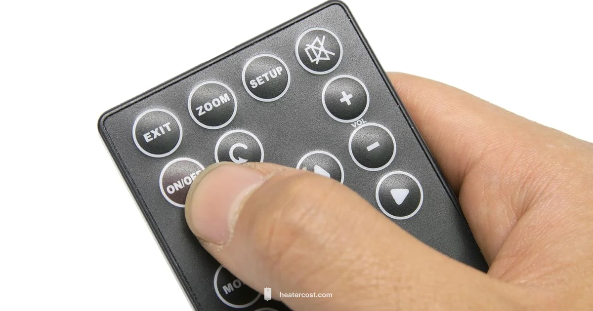 Remote Heater Guide - Heater Cost