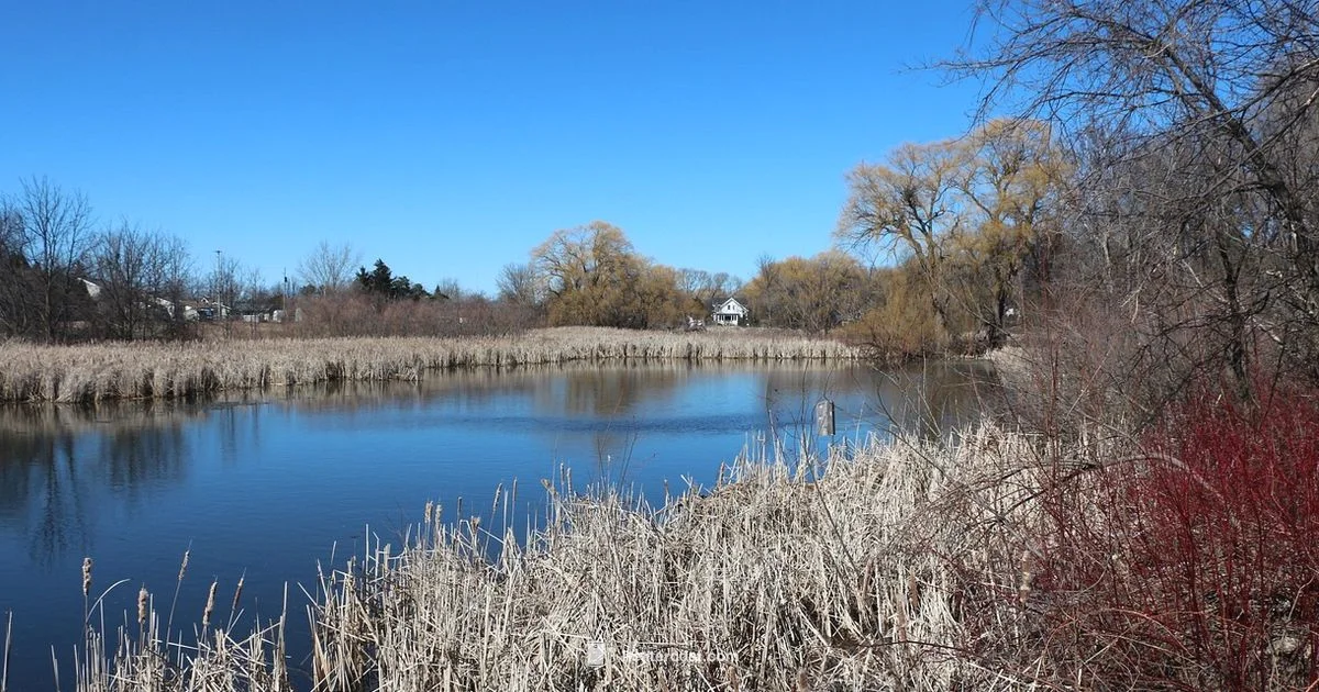 Pond Heater Guide - Heater Cost