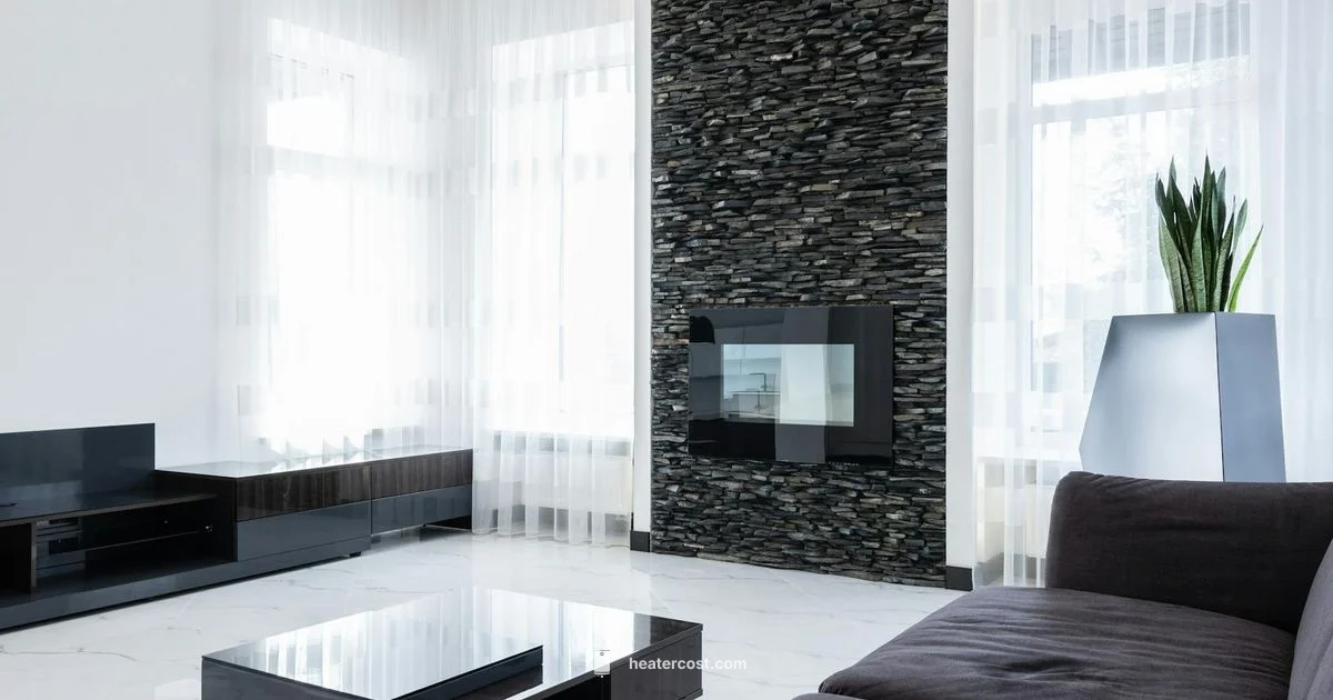 Pelonis Heater Overview - Heater Cost