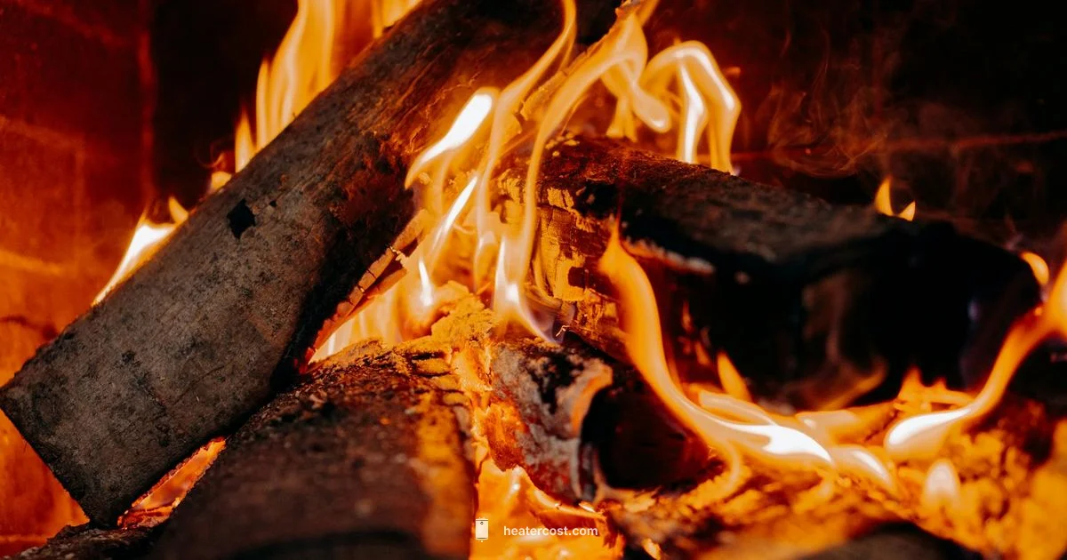 Top Heat Pick - Heater Cost