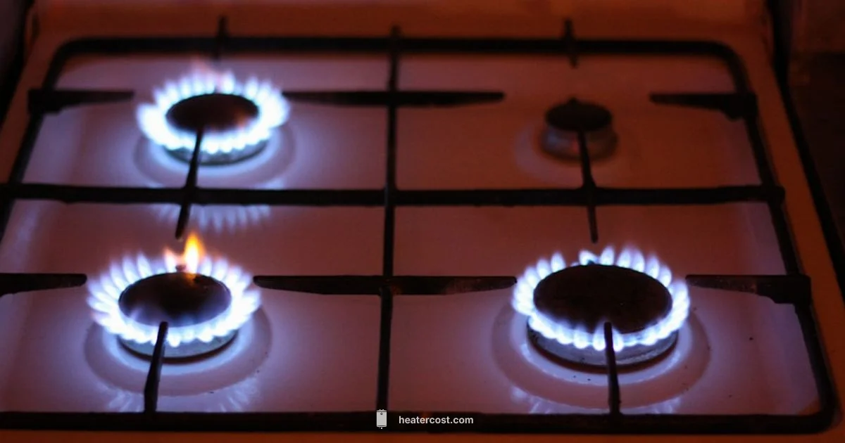 Startup Gas Odor - Heater Cost