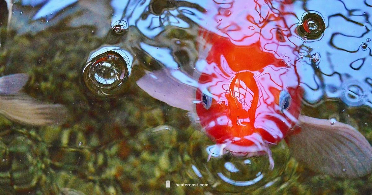 Winter koi heating - Heater Cost