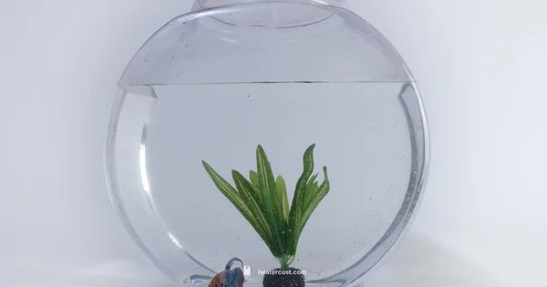 Aquarium Heater Guide - Heater Cost