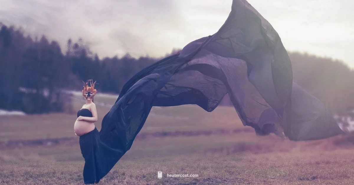 Heater Safety Pregnancy - Heater Cost