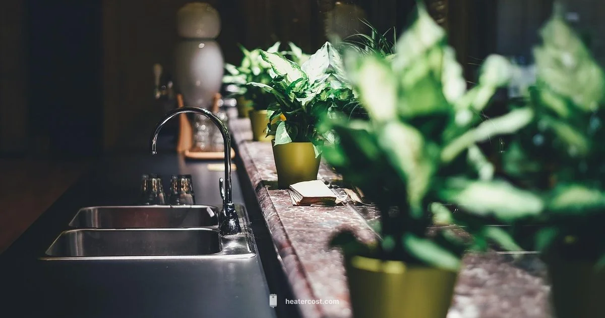 Instant Water Heater Repair - Heater Cost