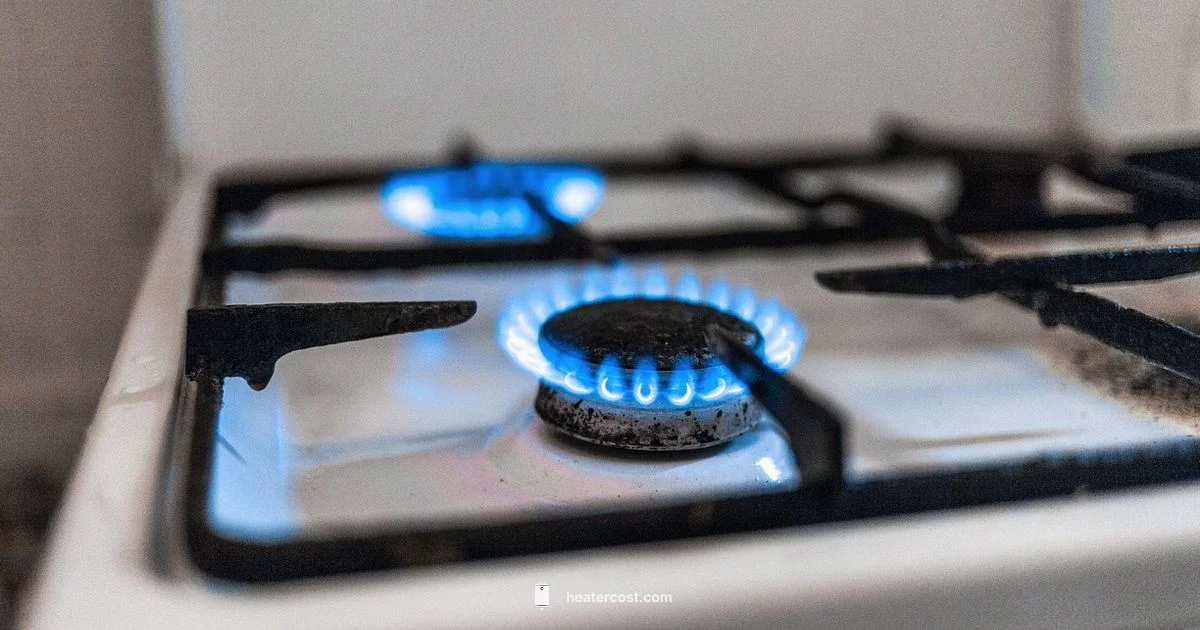 Propane Tank Heater Guide - Heater Cost