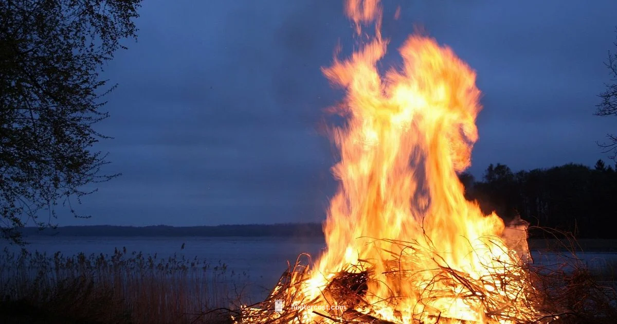 Heat Sickness Care - Heater Cost