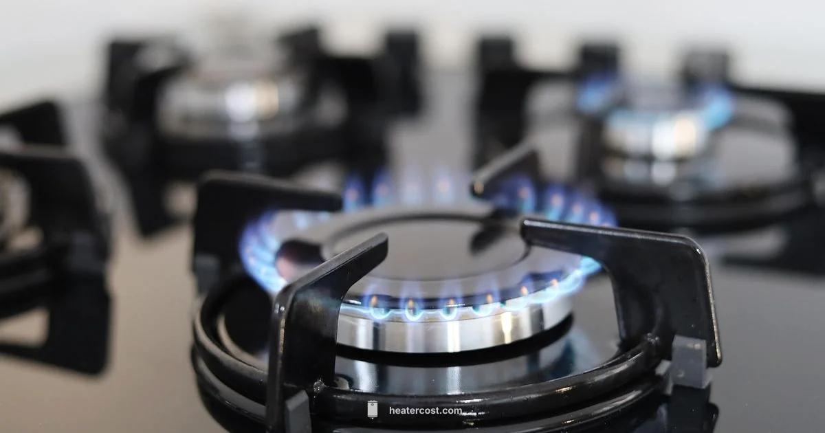 Gas Water Heater Guide - Heater Cost