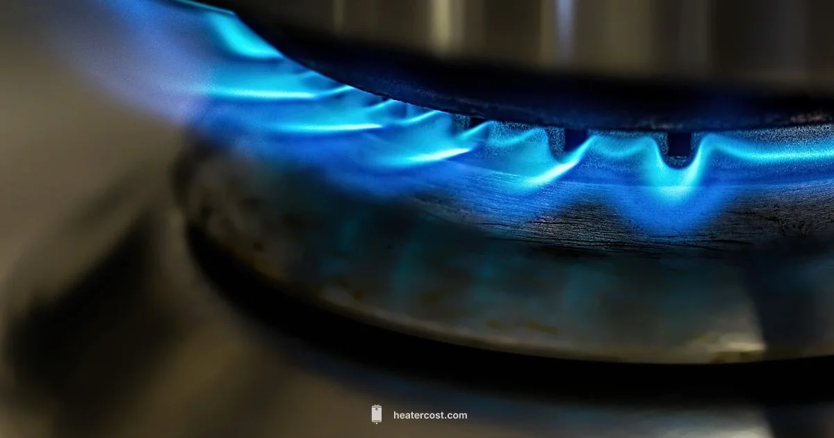 Propane Heater Safety - Heater Cost