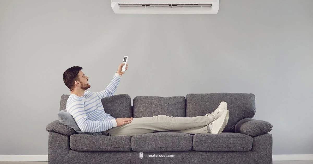 Heater in AC - Heater Cost