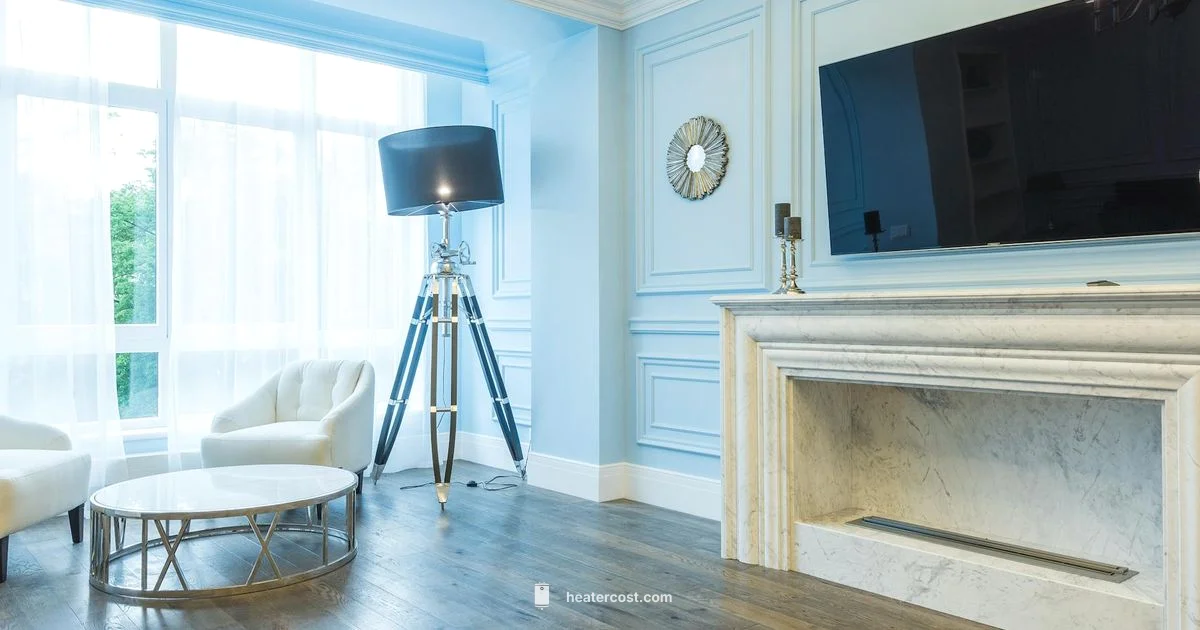 Aladdin Blue Flame - Heater Cost