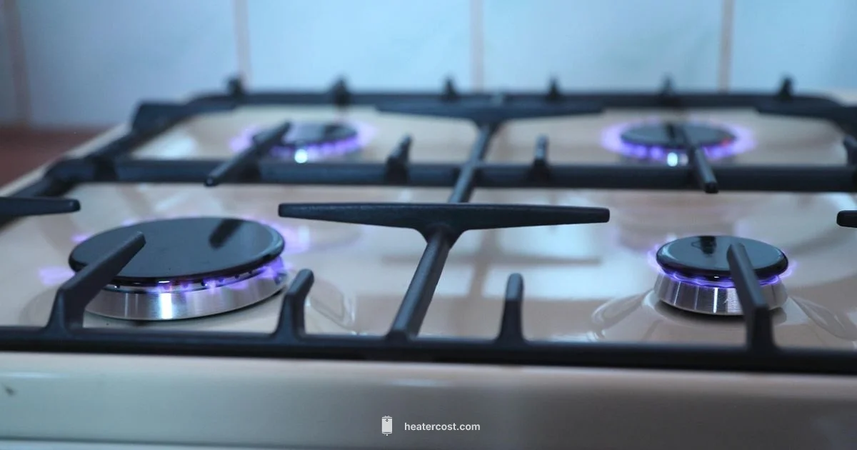 Power Outage Cooking - Heater Cost