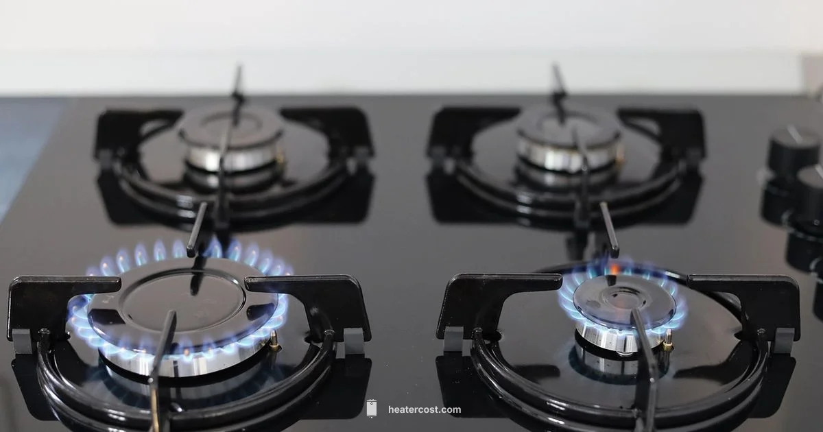 Brand Stove Showdown - Heater Cost