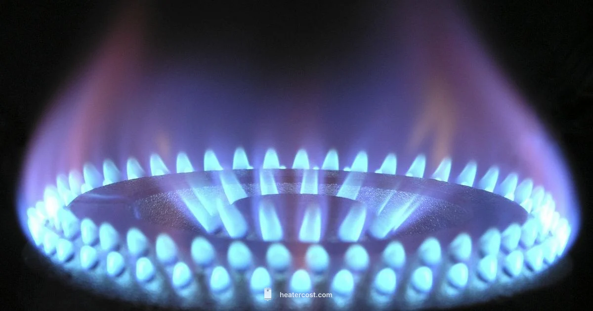 Blue Flame Guide - Heater Cost