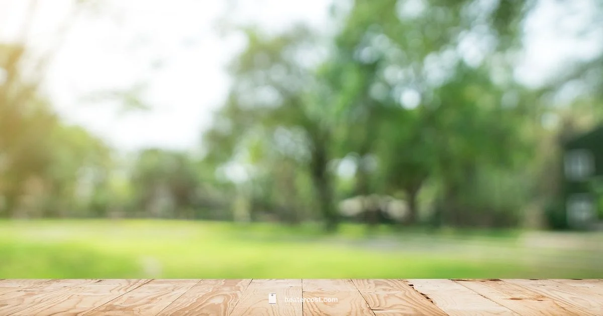 Deck Heater Guide - Heater Cost