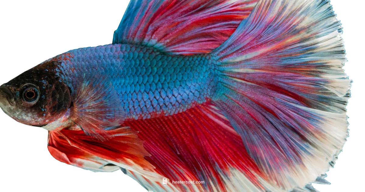 Guppy Heater Guide - Heater Cost