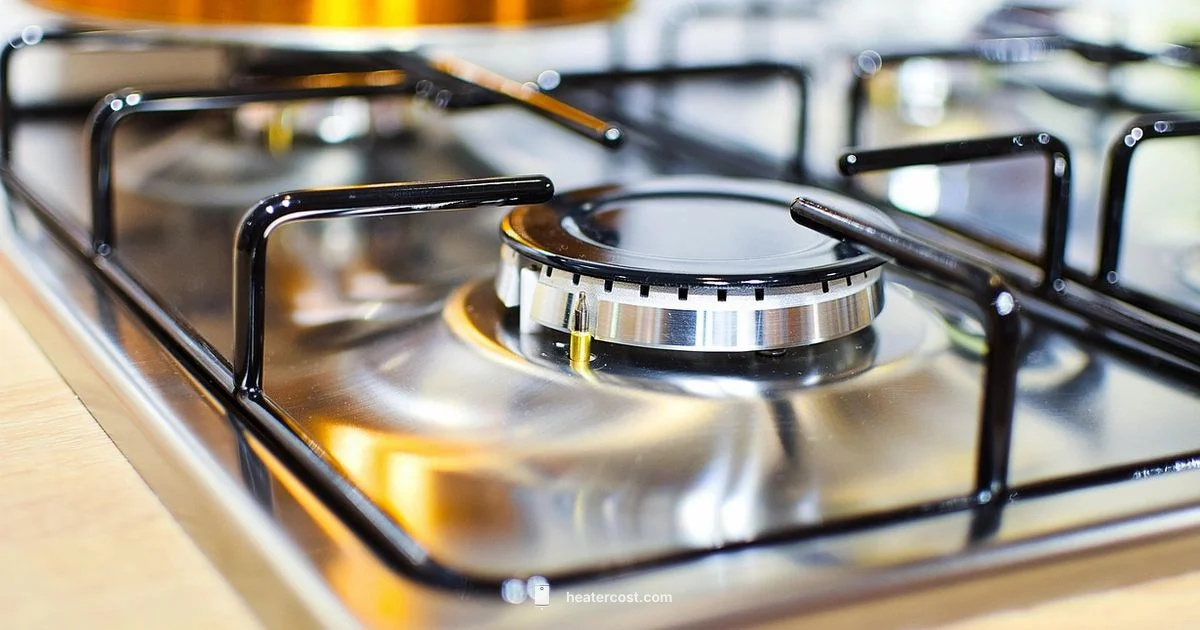 Gas Stove Heater - Heater Cost