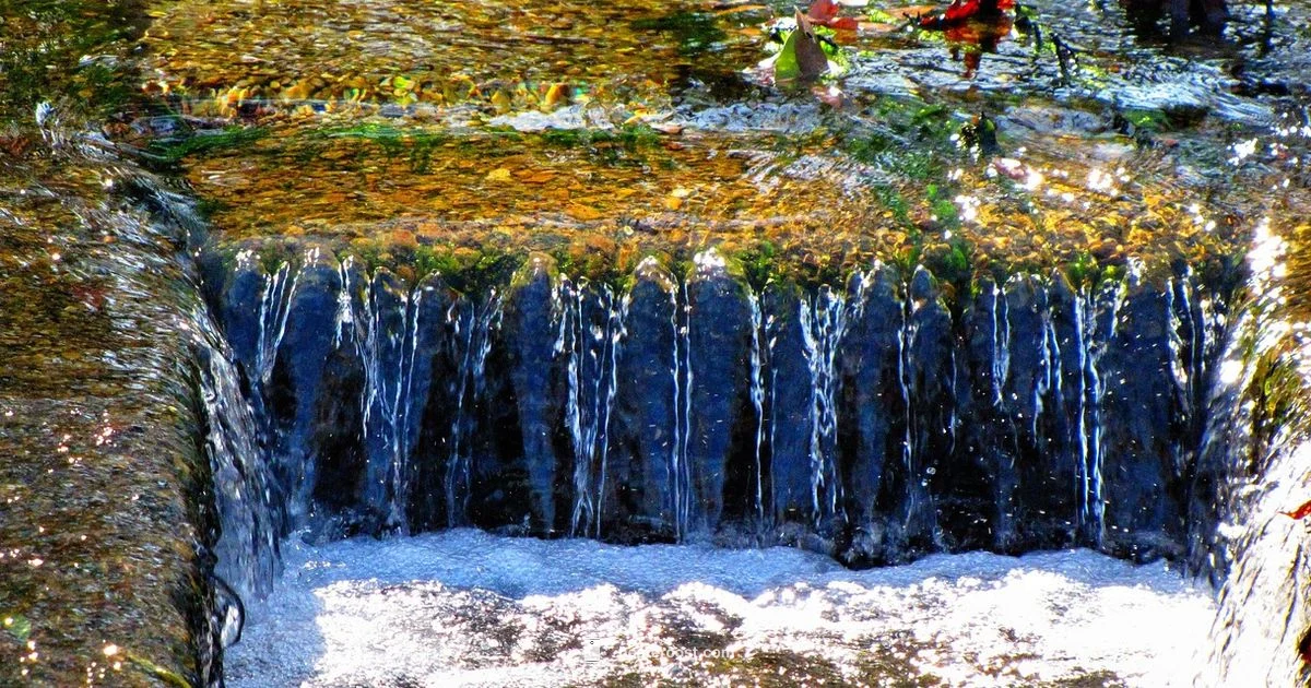 Drain Your Water Heater - Heater Cost