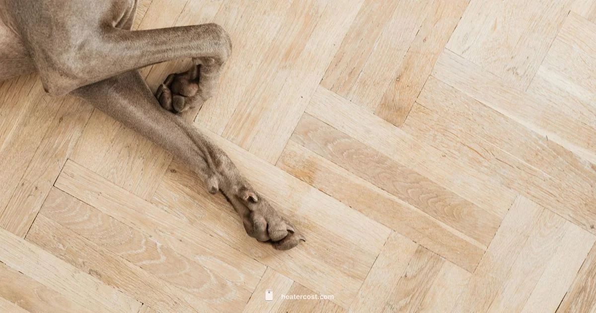 Dog Warmth Pad - Heater Cost
