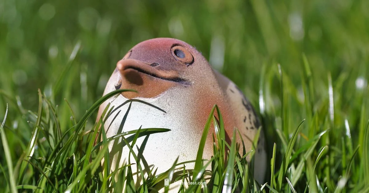 Best Heaters for Baby Best Heaters for Baby - Heater Cost