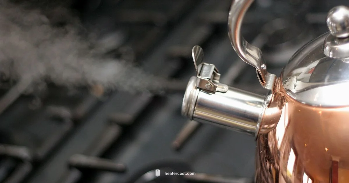Hot Water System - Heater Cost