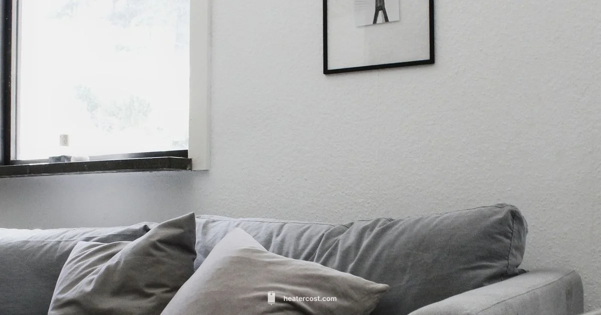 Backups for Heating - Heater Cost