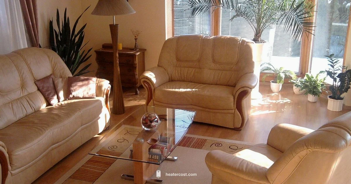 Infrared vs Convection - Heater Cost