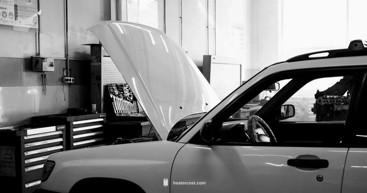 Clean Heater Core Guide - Heater Cost