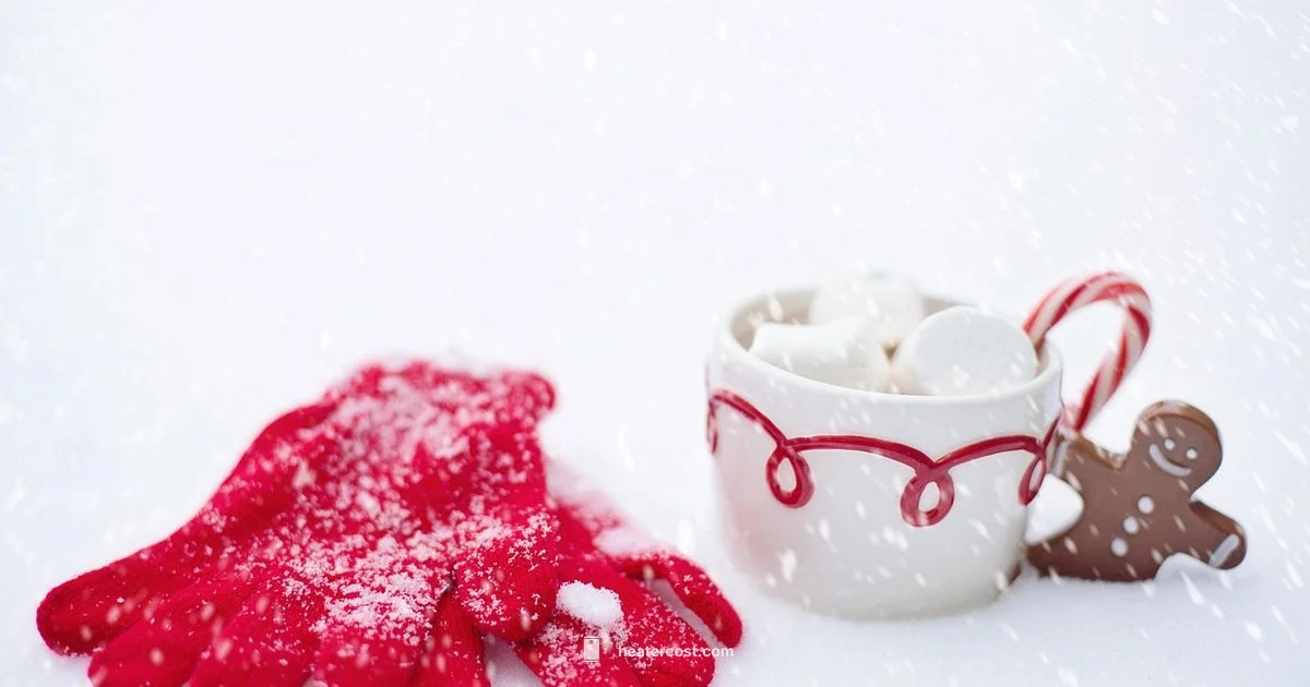 Cozy Home Heat - Heater Cost