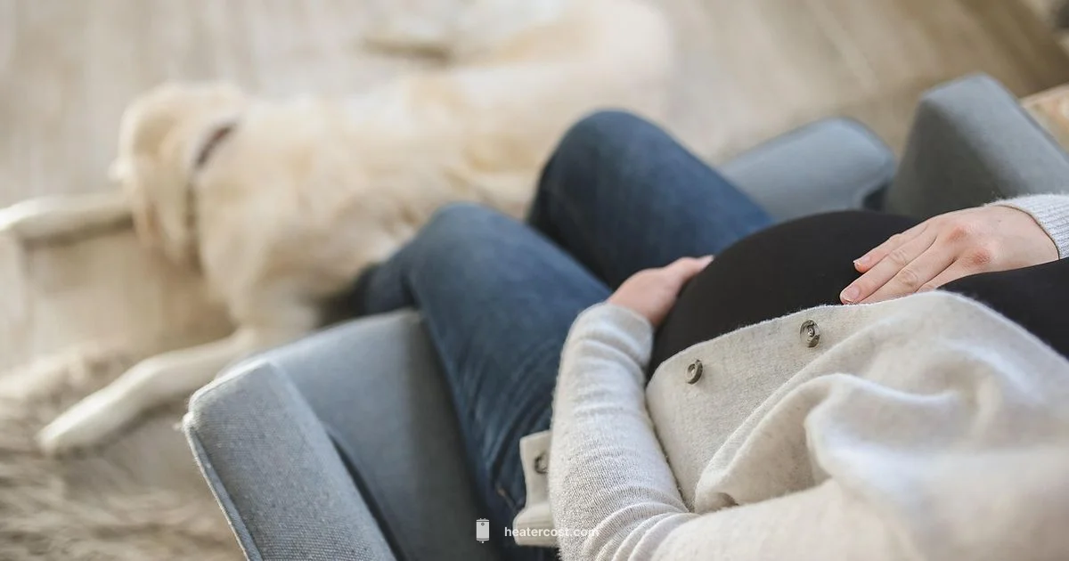 Safe Heat Pregnancy - Heater Cost