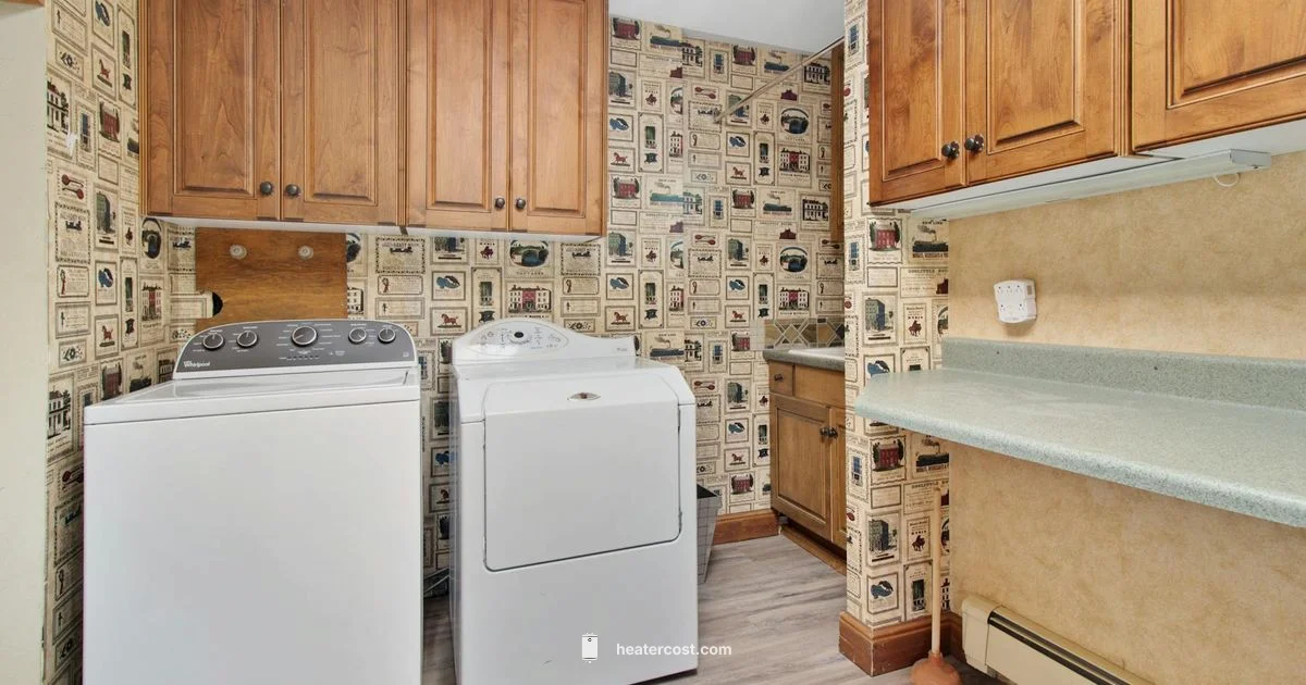 Hot Water Health - Heater Cost