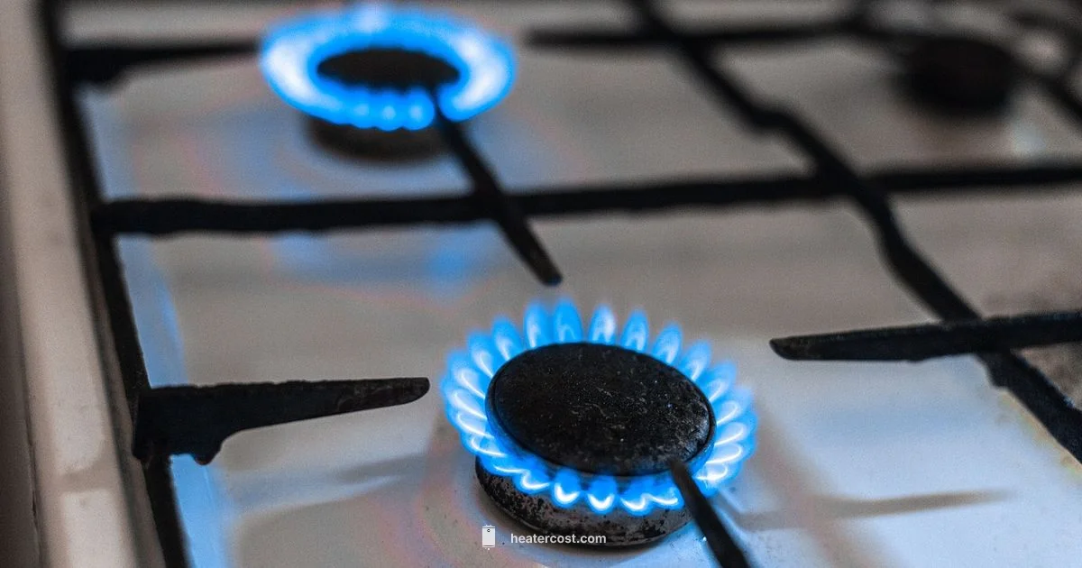 Propane Heater Use - Heater Cost