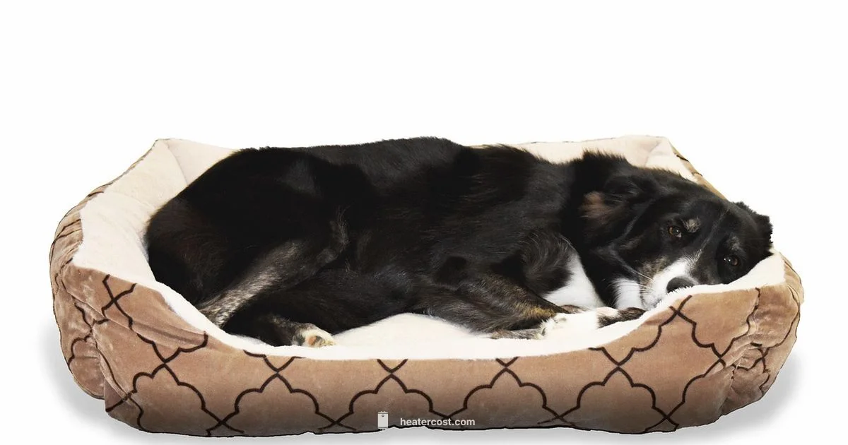 Cozy Heated Bed - Heater Cost