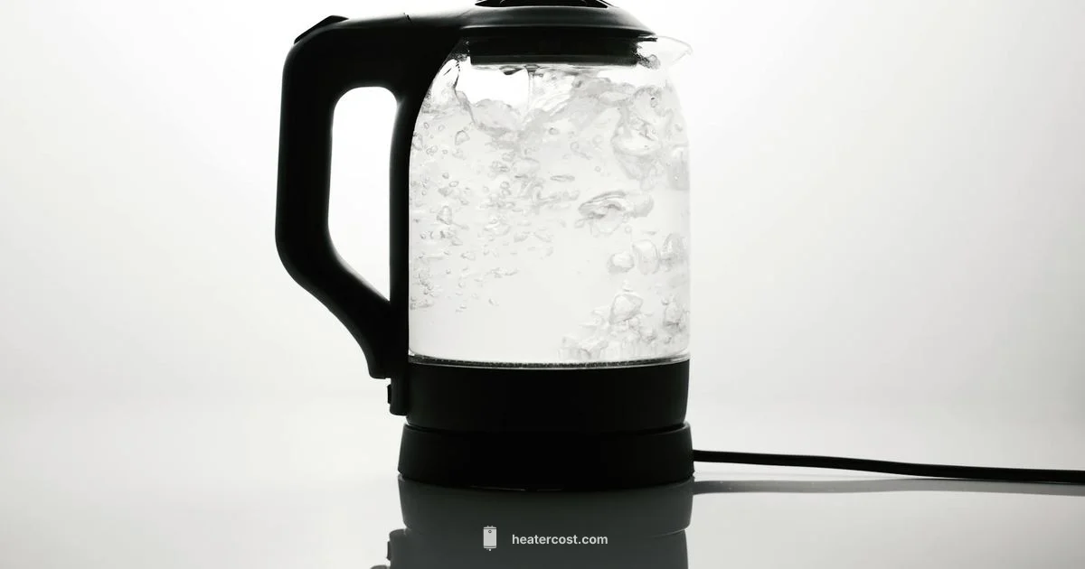 Efficient Water Heating - Heater Cost