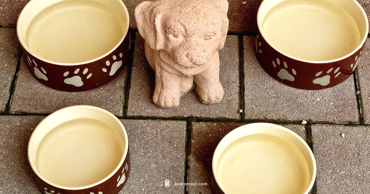 Warm Water for Pets - Heater Cost