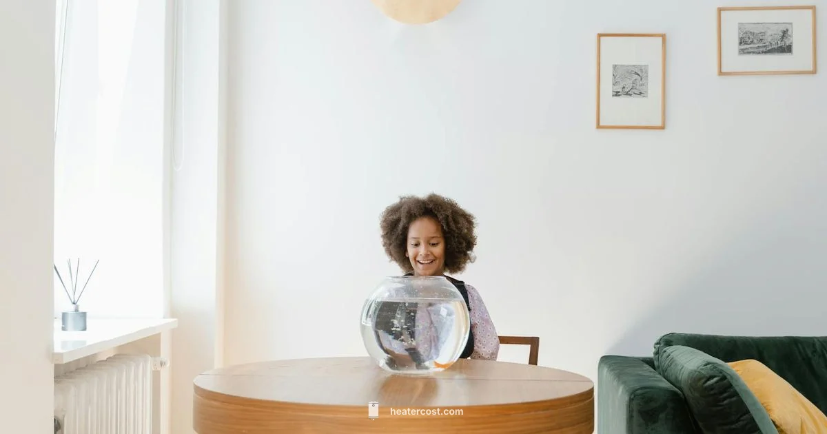 Fish Odor Heater - Heater Cost