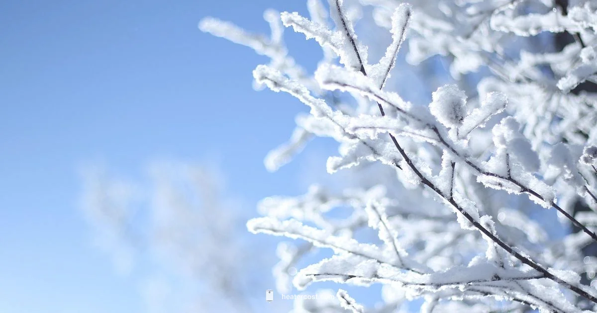 Block Heater Safety - Heater Cost