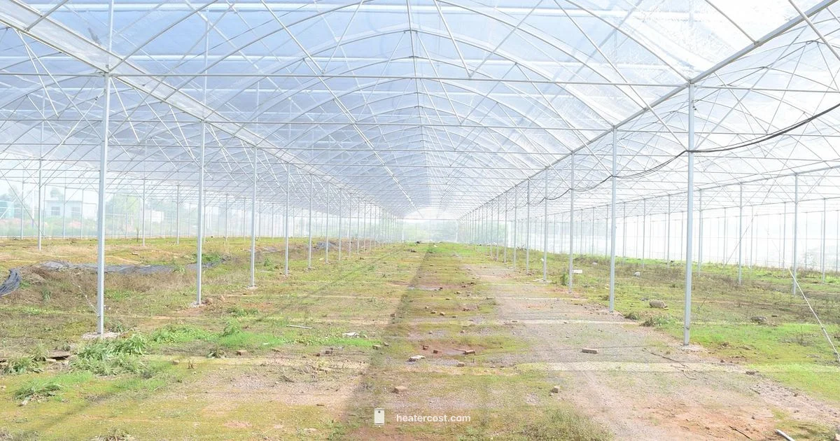 Greenhouse Heating Basics - Heater Cost