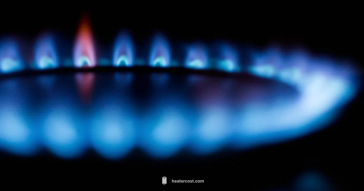 Gas Heater Safety - Heater Cost