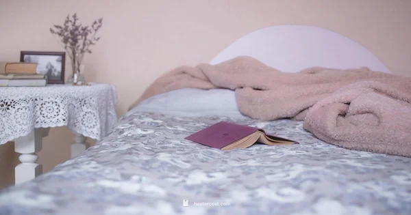 Heater vs Blanket - Heater Cost