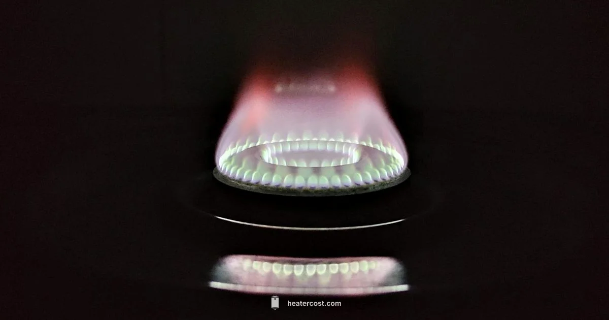 Pilot Light Basics - Heater Cost