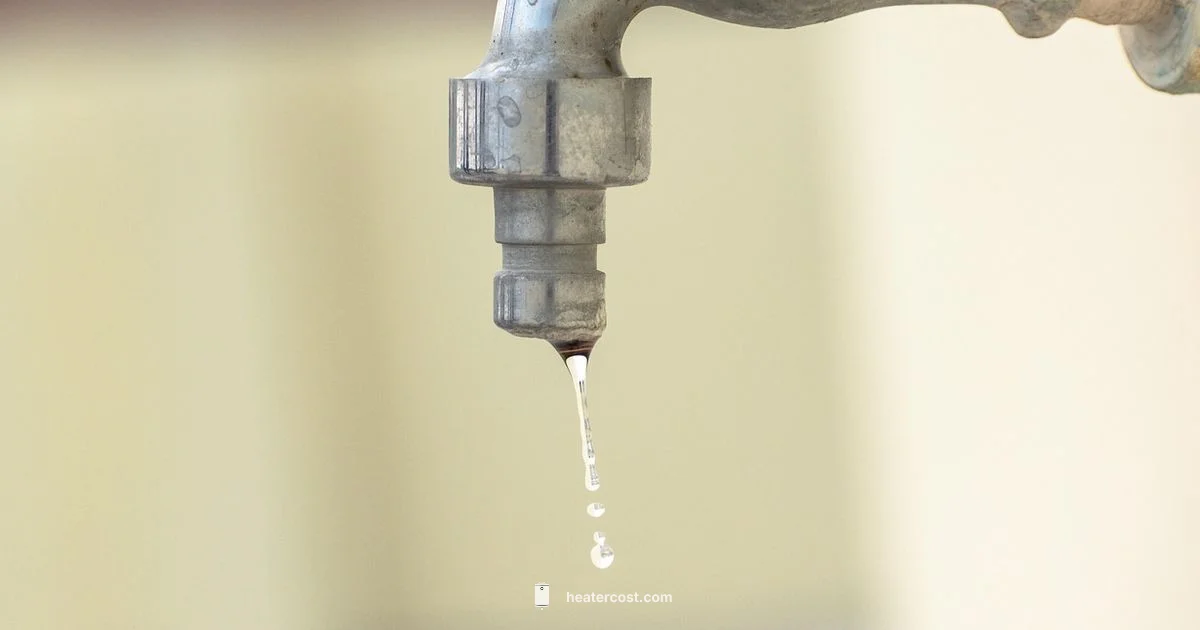 Leak Fix Guide Leak Fix Guide - Heater Cost