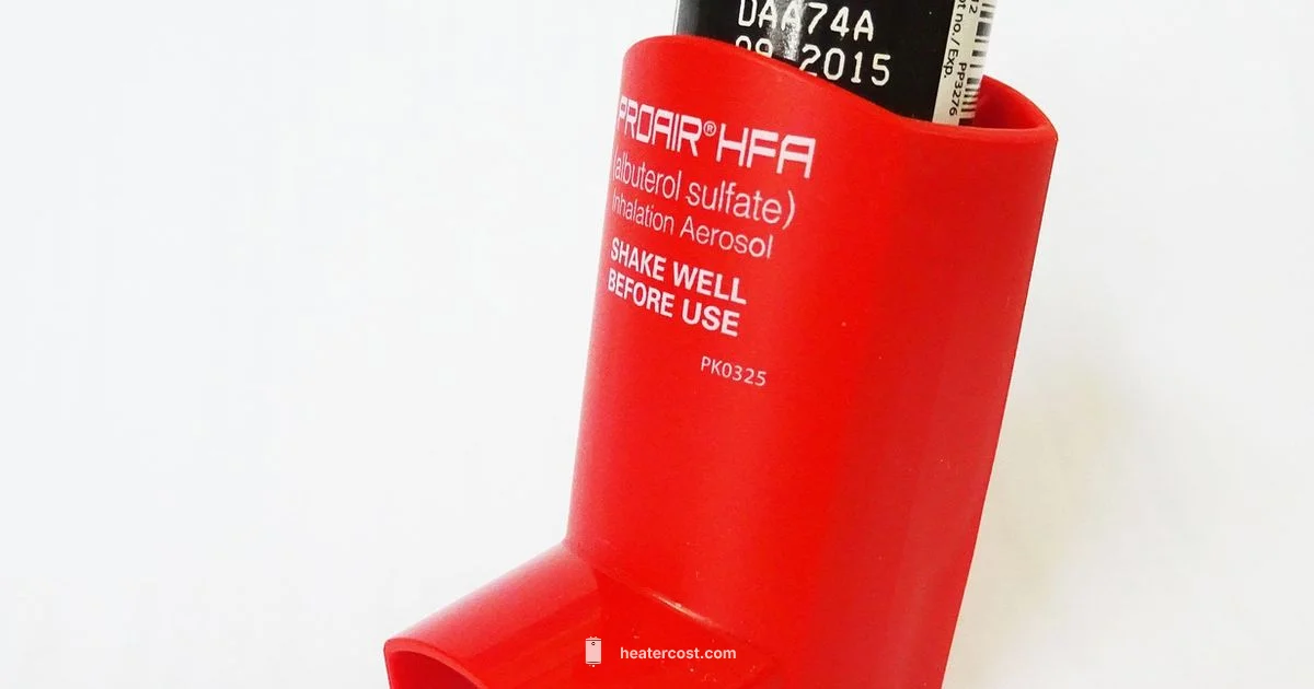 Asthma-Safe Heating - Heater Cost