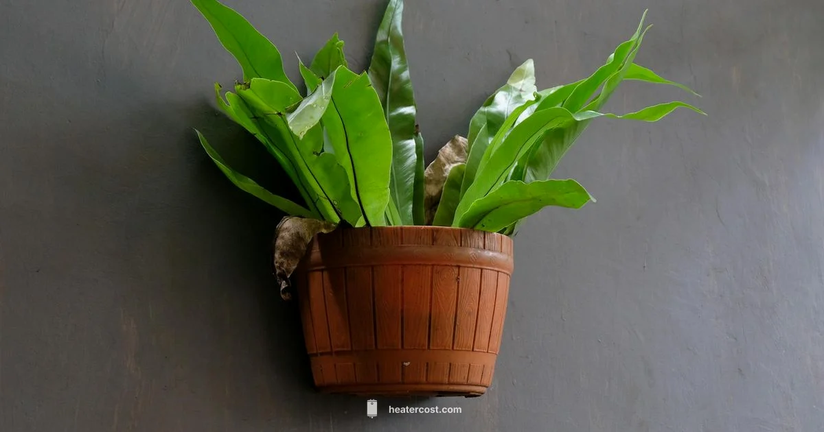 Nest Heating Control - Heater Cost