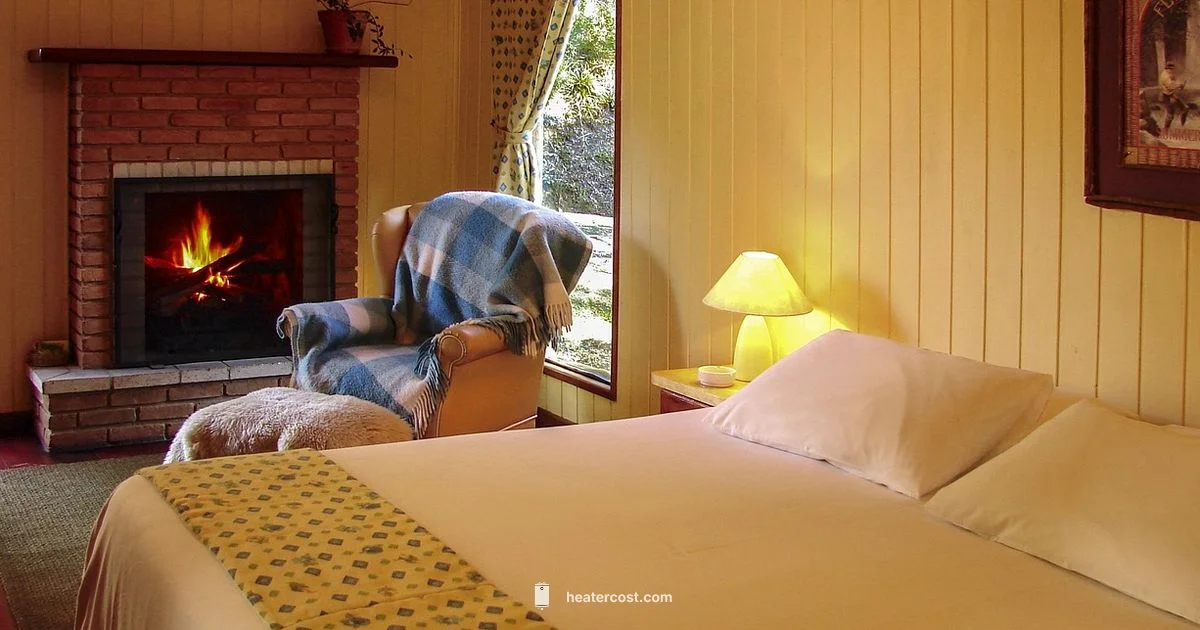 Safe Sleep Heat - Heater Cost