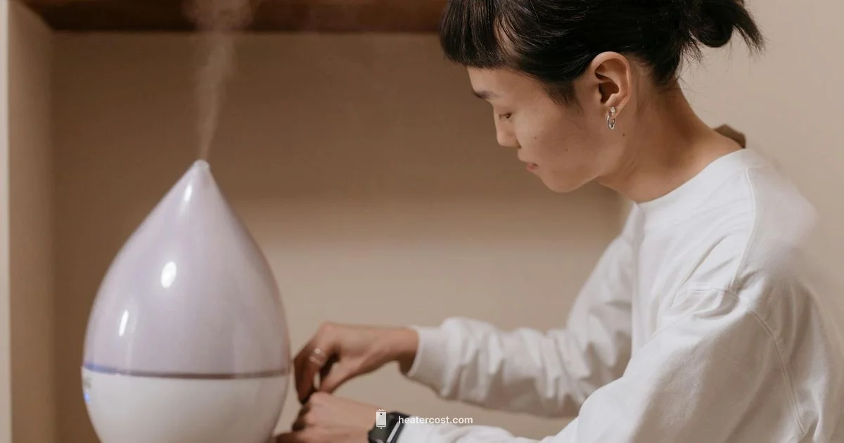 Humid Air, Healthy Skin - Heater Cost